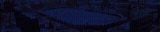 Bonus Banner